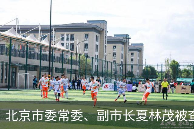 北京市委常委、副市长夏林茂被查